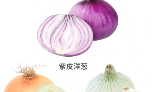 鹿尾巴粉吃法-专业鹿尾粉有什么功效和作用平台-鹿尾巴粉的功效与作用