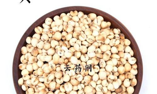 鹿尾巴粉吃法-专业鹿尾粉有什么功效和作用平台-鹿尾巴粉的功效与作用